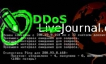 Почему Живой Журнал подвергся DDoS-атакам: интервью