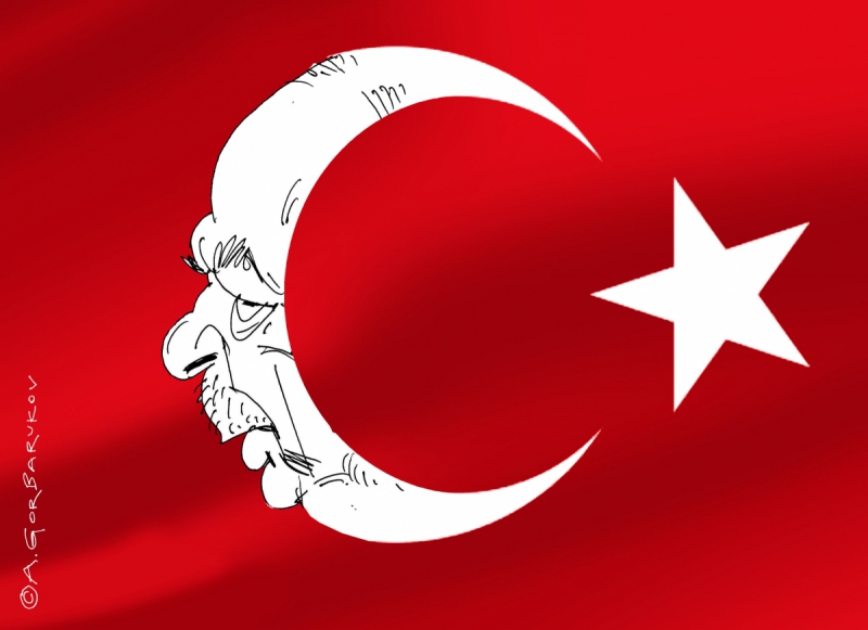 Эрдоган. Турция. Иллюстрация: Александр Горбаруков