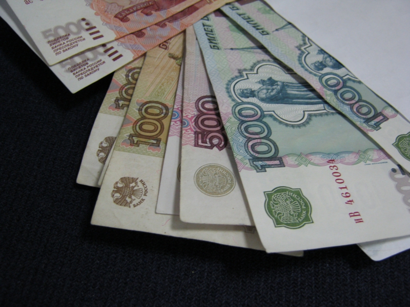 Долги по заработным платам в России сократились в апреле