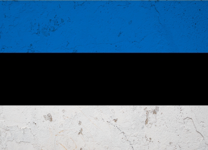 Флаг Эстонии © REX