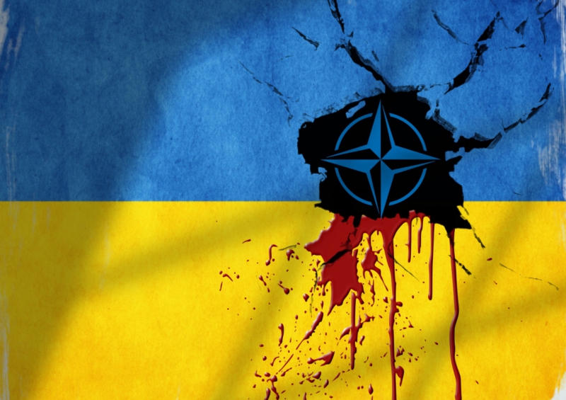 Украина и НАТО © REX