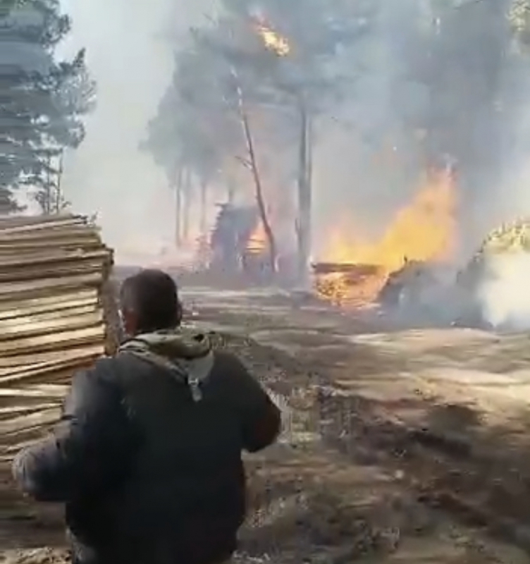 Пожар в Сосьве. Фото: скриншот видео