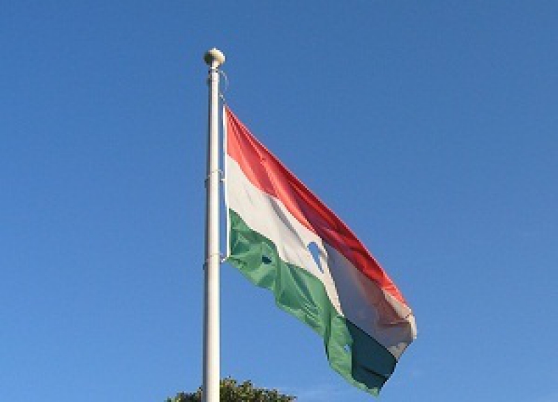 Флаг Венгрии. Фото: REX
