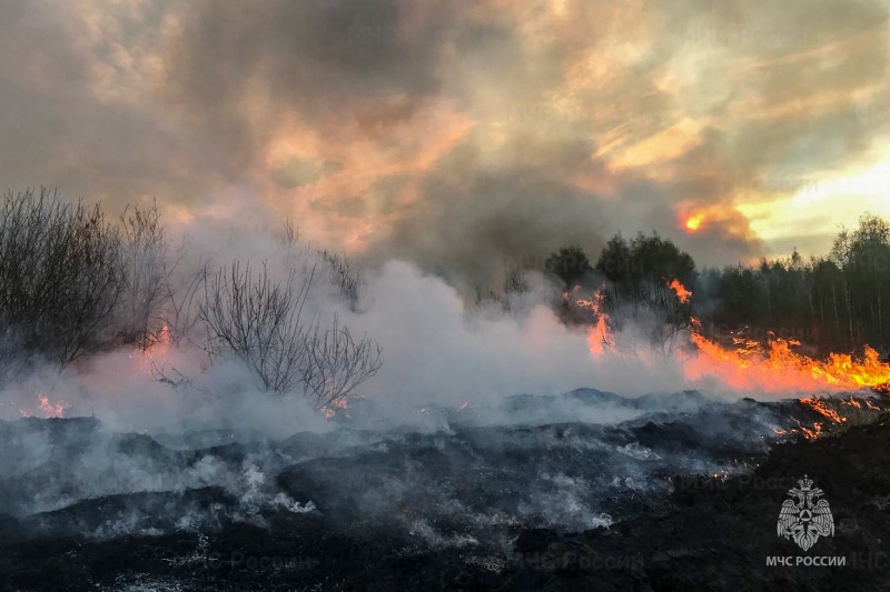 Челябинск накрыло смогом из-за дыма лесных пожаров из Свердловской области