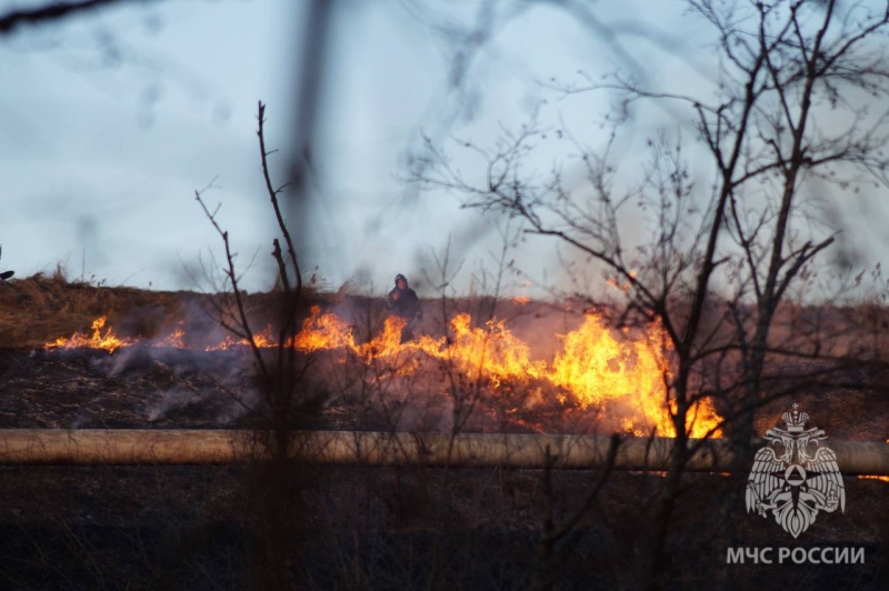 В Подмосковье ликвидировали первые в сезоне-2024 лесные пожары