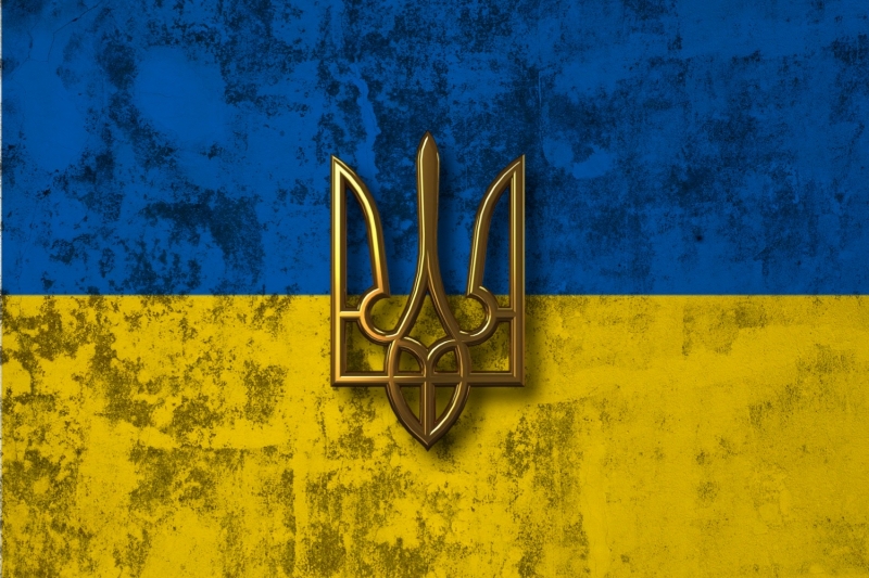 Мобилизация на Украине. Иллюстрация: ИА REX