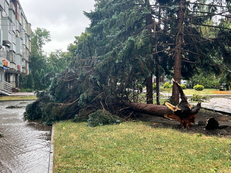 Ливень с градом и шквалистым ветром повалил деревья, повредил дома и автомобили в Карачаево-Черкесии