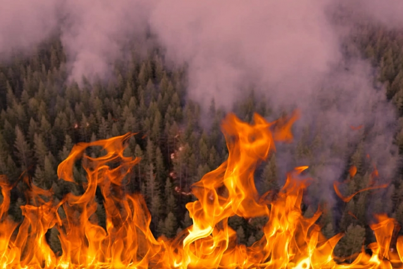 МЧС: Пожароопасный сезон будет сложным, шесть регионов к нему не готовы