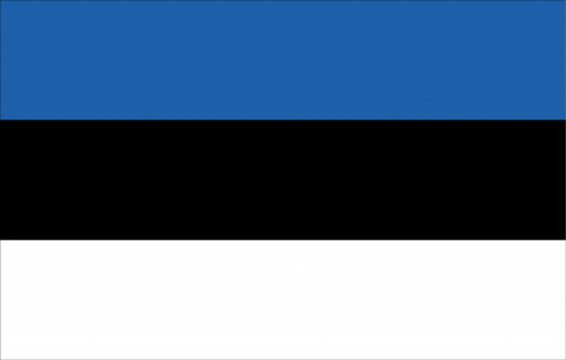 Флаг Эстонии. Фото: REX