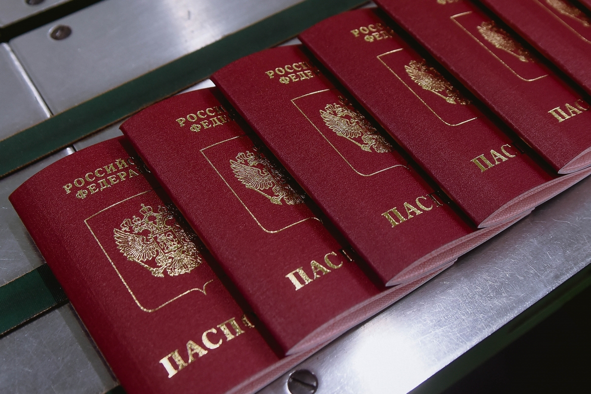 Паспорт. Фото: Дарья Ильина © REX