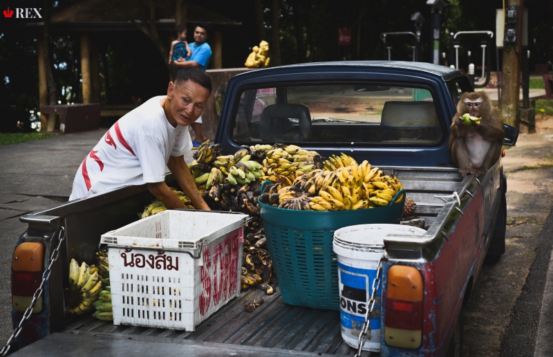 Зависимость от бананов: расширение круга поставщиков давно назрело
