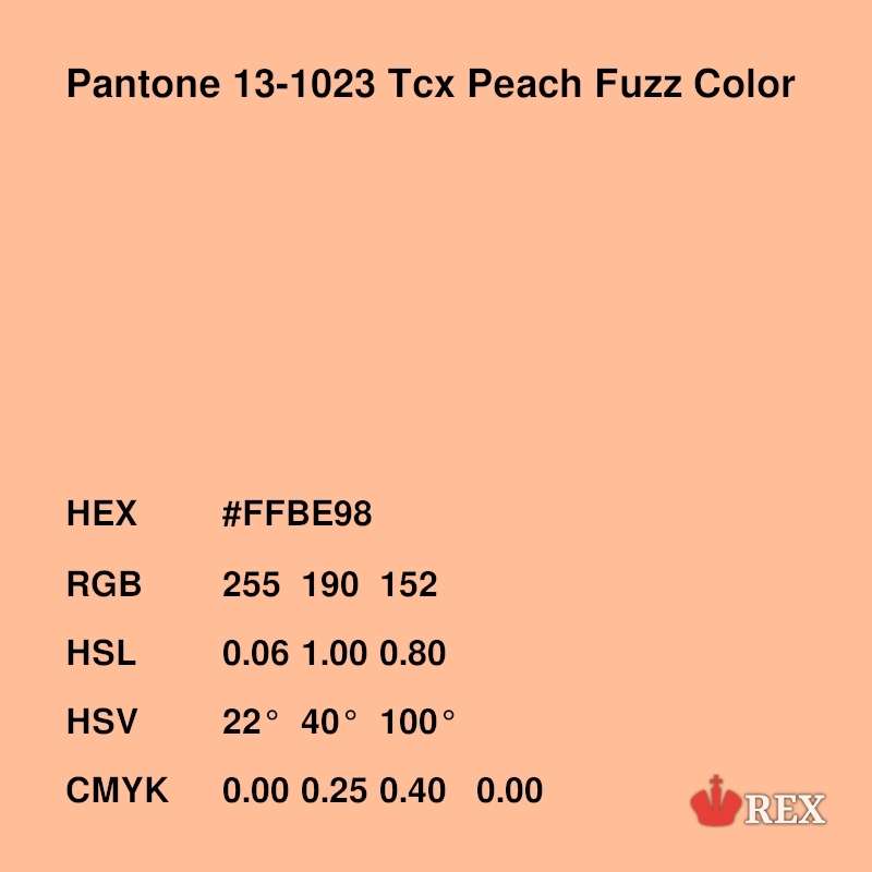 ,          . Pantone 13-1023 Tcx Peach Fuzz Color | #FFBE98. 