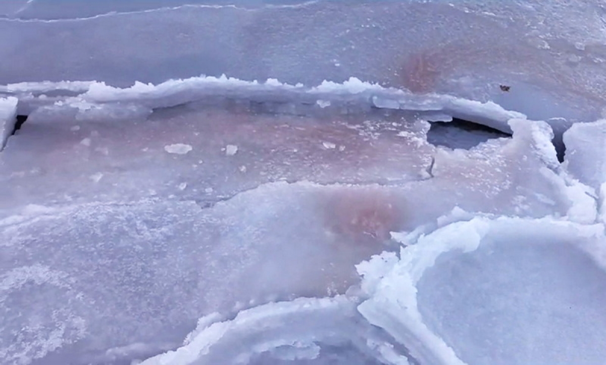 У берегов Приморского края обнаружен «красный» лёд