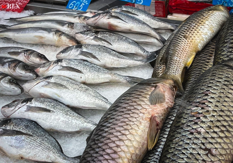 Экономист оценила ситуацию с экспортом рыбы из России
