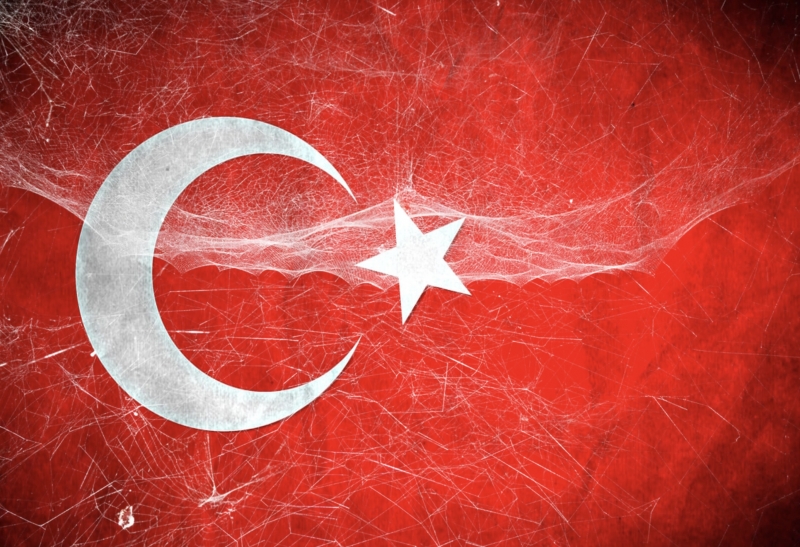 Эрдоган выгоняет из Турции всех таджиков