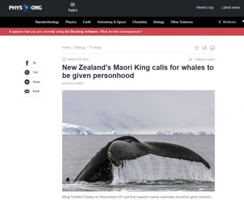 Король маори в Новой Зеландии потребовал признать китов личностями и закрепить их права