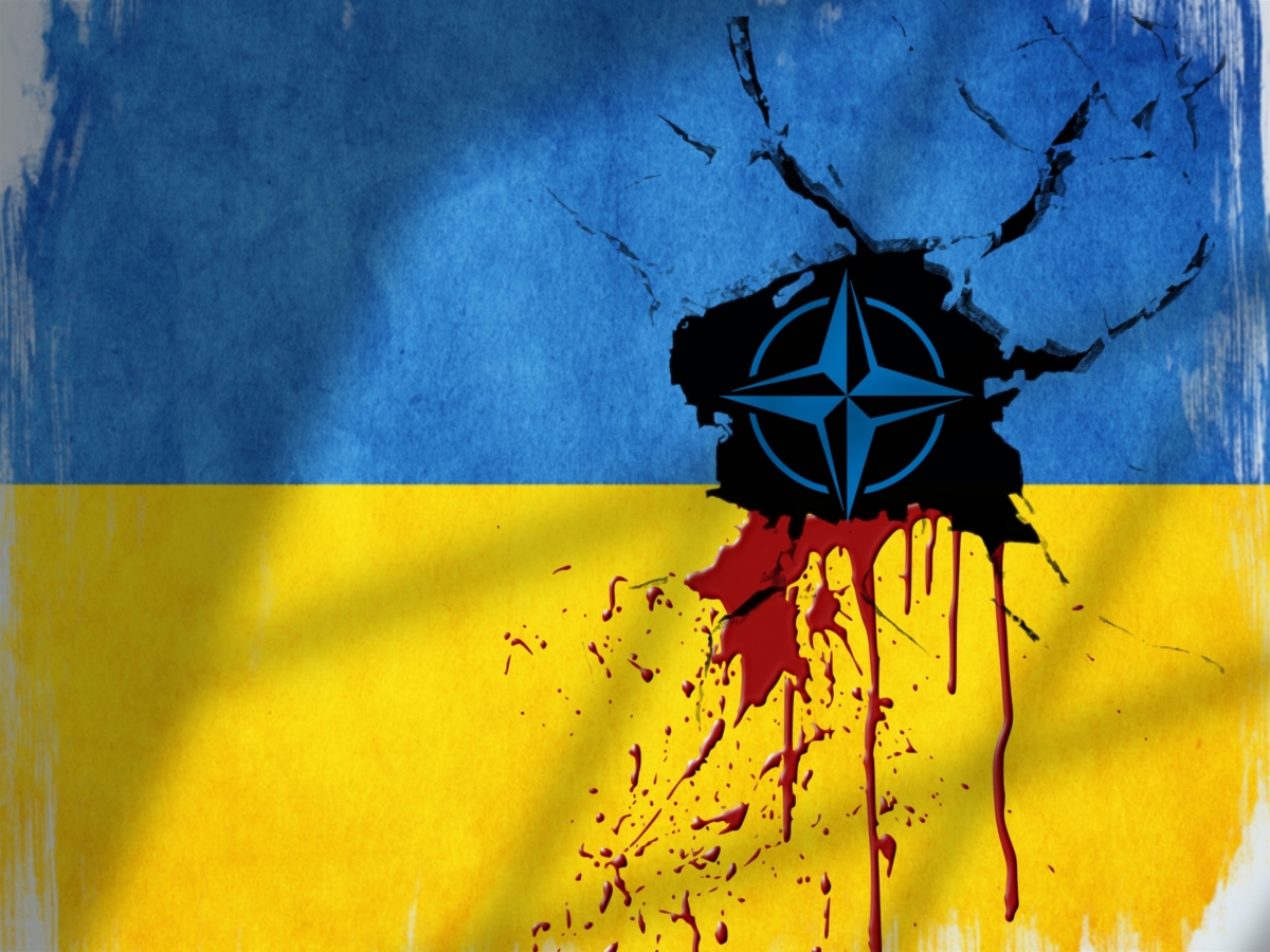 Обнародован долговременный план втягивания Киева в НАТО