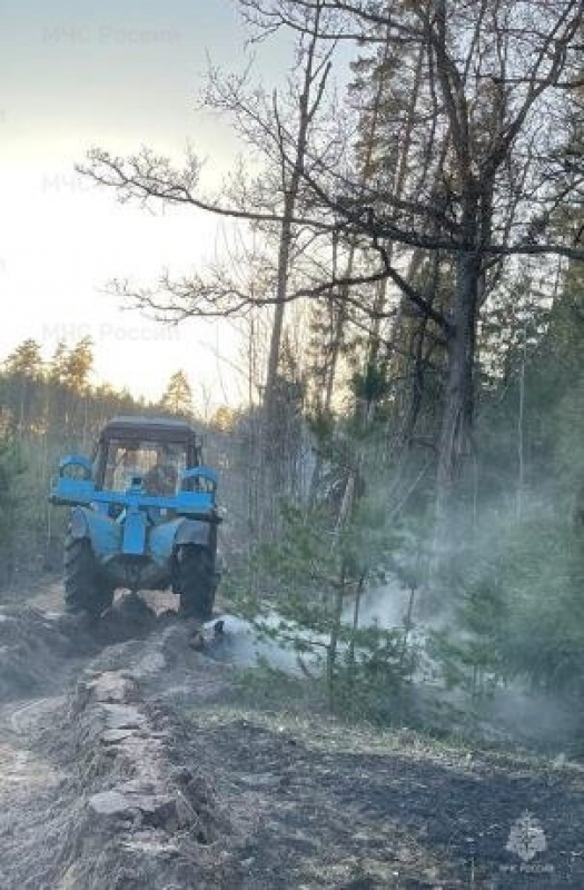 В Калужской области зафиксировали первый лесной пожар 2024 года