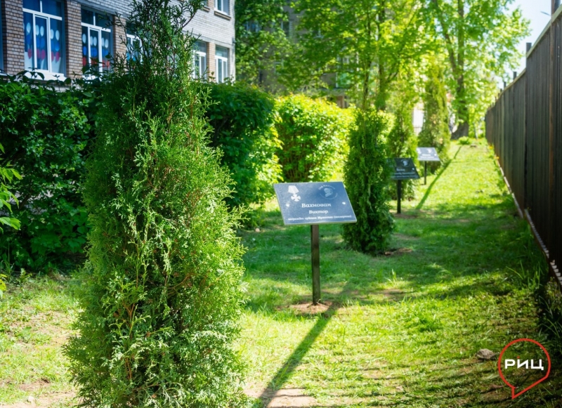 В школе калужского Балабаново высадили «Сад памяти» выпускников, погибших на СВО