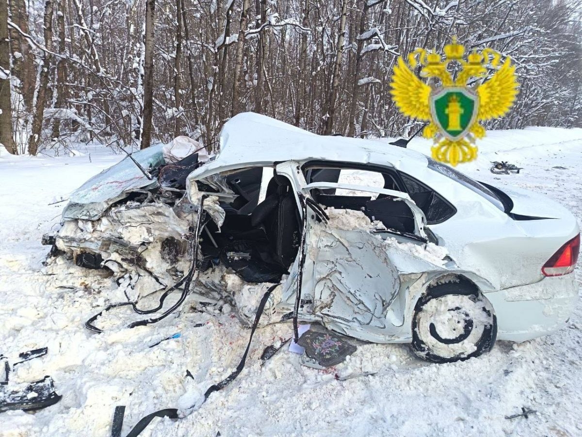 ����� ���. ���� �����-������ ����������� ��������� �������