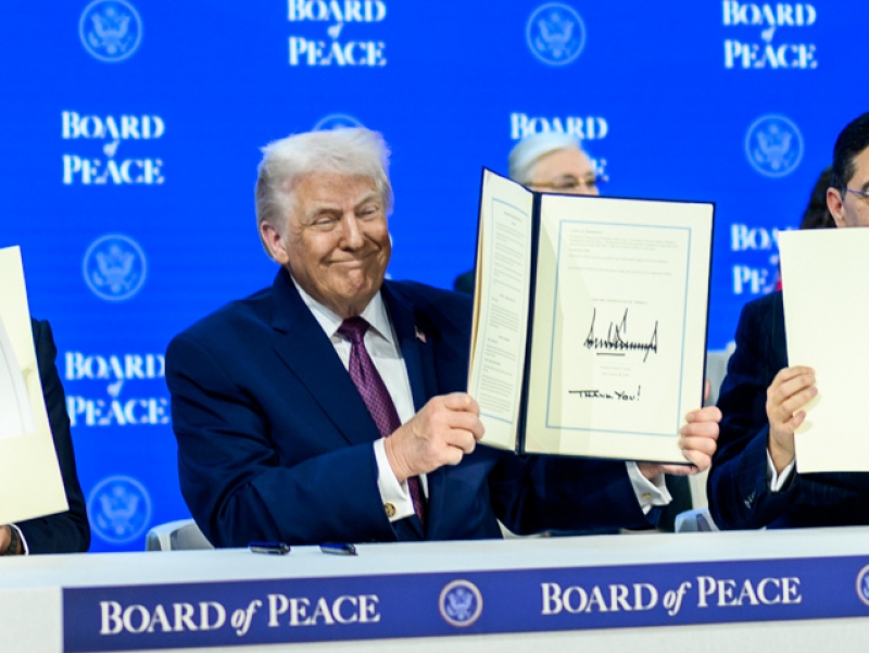 �����������: REX