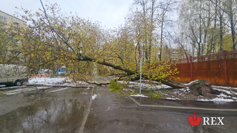 ����������� ��������� � ������ 27 ������ 2026 ����. ����: �� REX